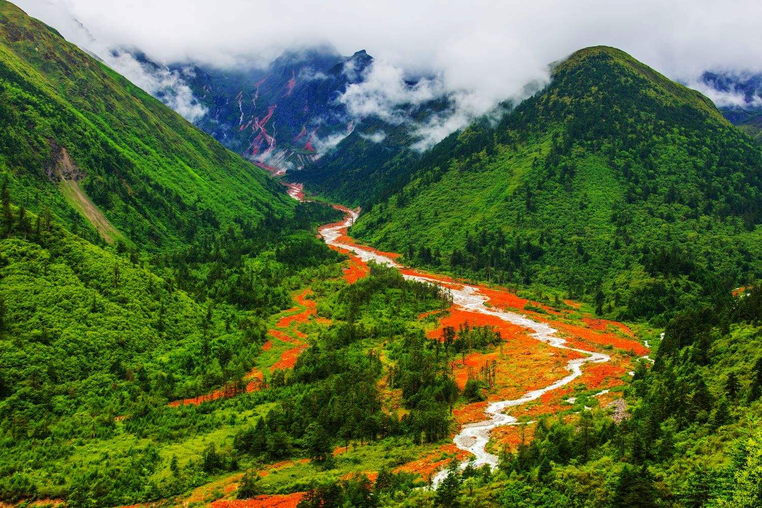 四川省，多元文化的魅力与独特之处